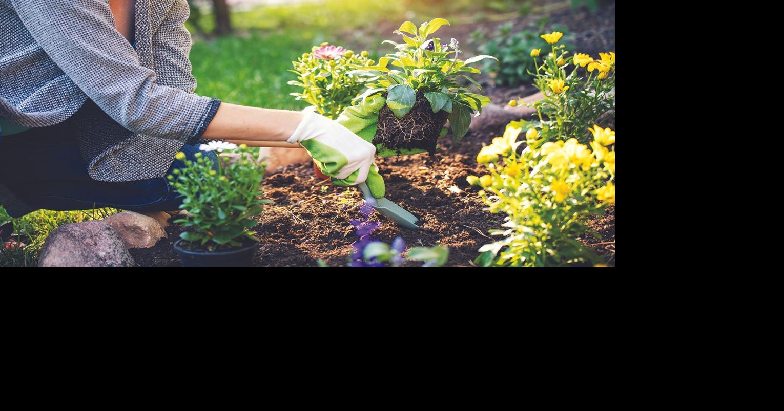 Desert Gardener: Spring gardening - Grow warm-weather veggies and flowers