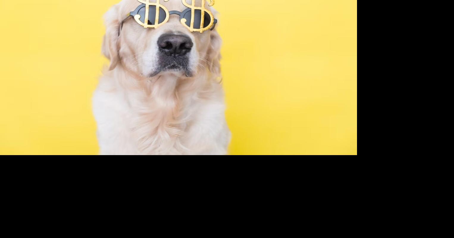 BBB Tip: Calculate the cost of owning a pet | Business