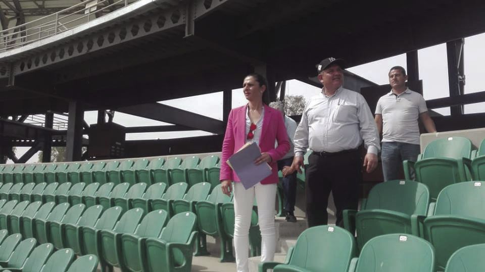 Estadio