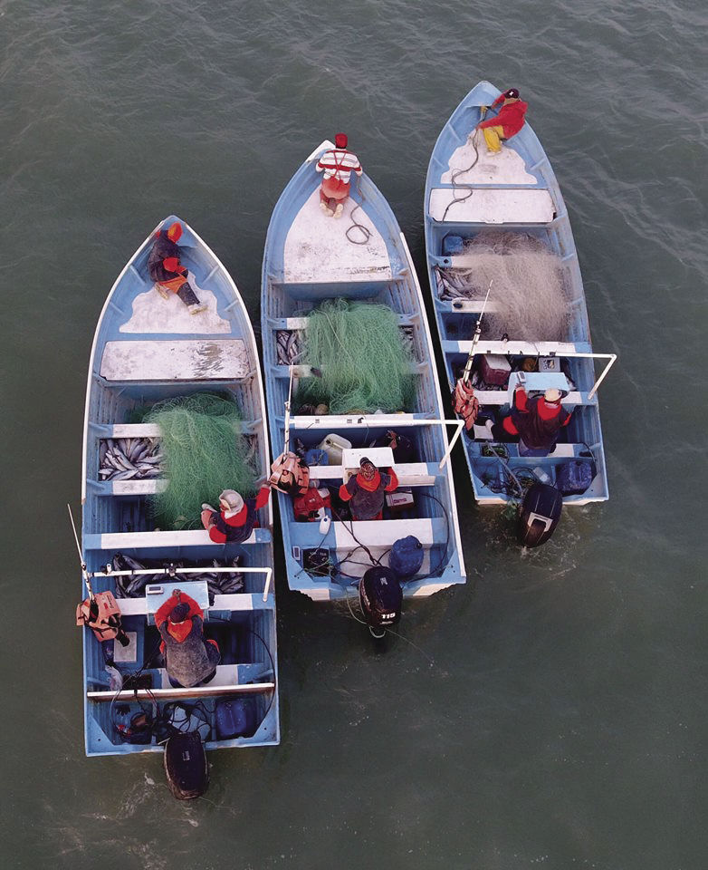 Pesca