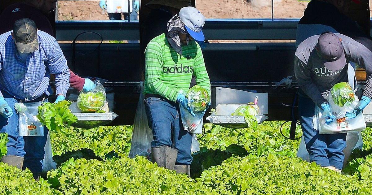 Yuma’s unemployment rate more than double state average amid seasonal job losses