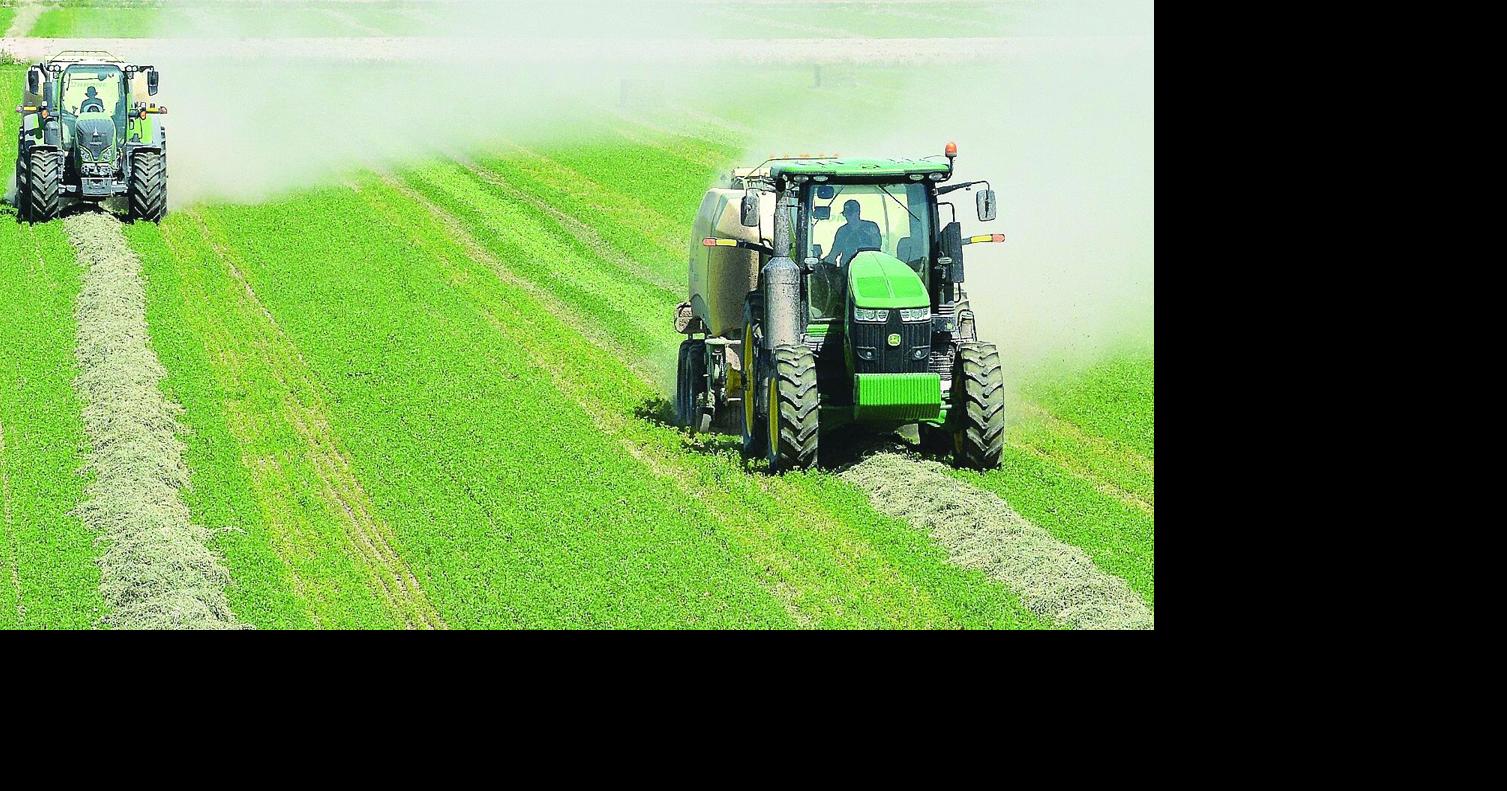 Yuma Ag & You: How an abundance of sunshine affects crops