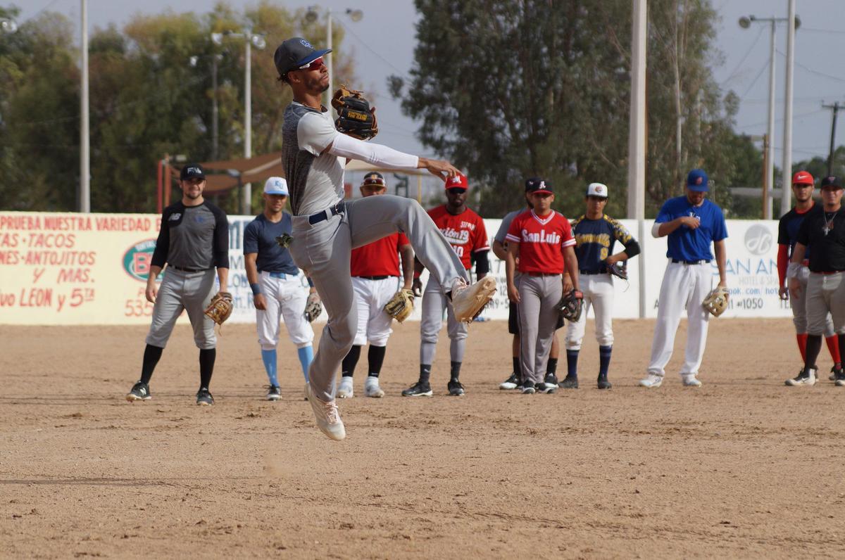 Algodoneros