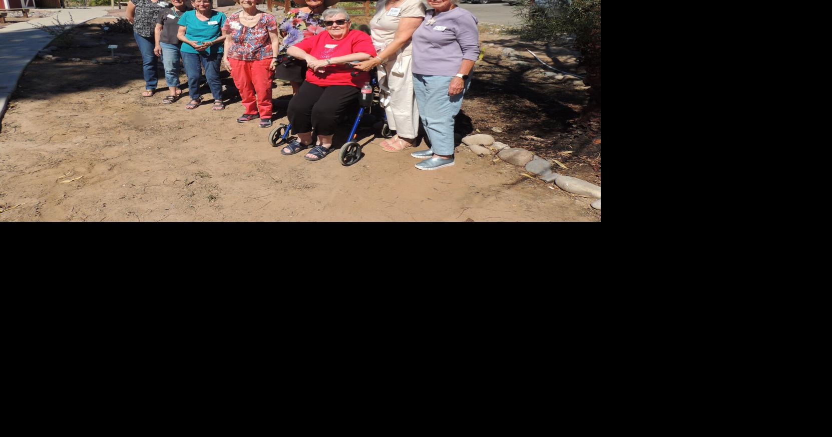 Desert Gardener: Yuma Orchid and African Violet Society celebrates its 25th anniversary this year