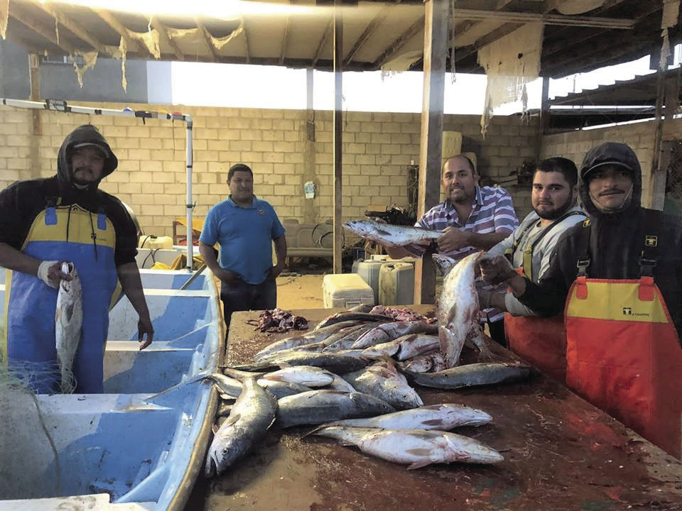 Pesca