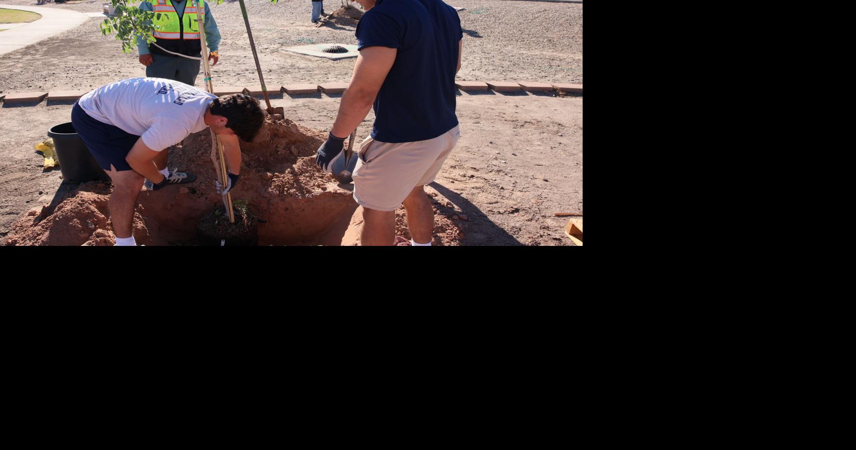 Desert View Middle School students plant trees for Arbor Day