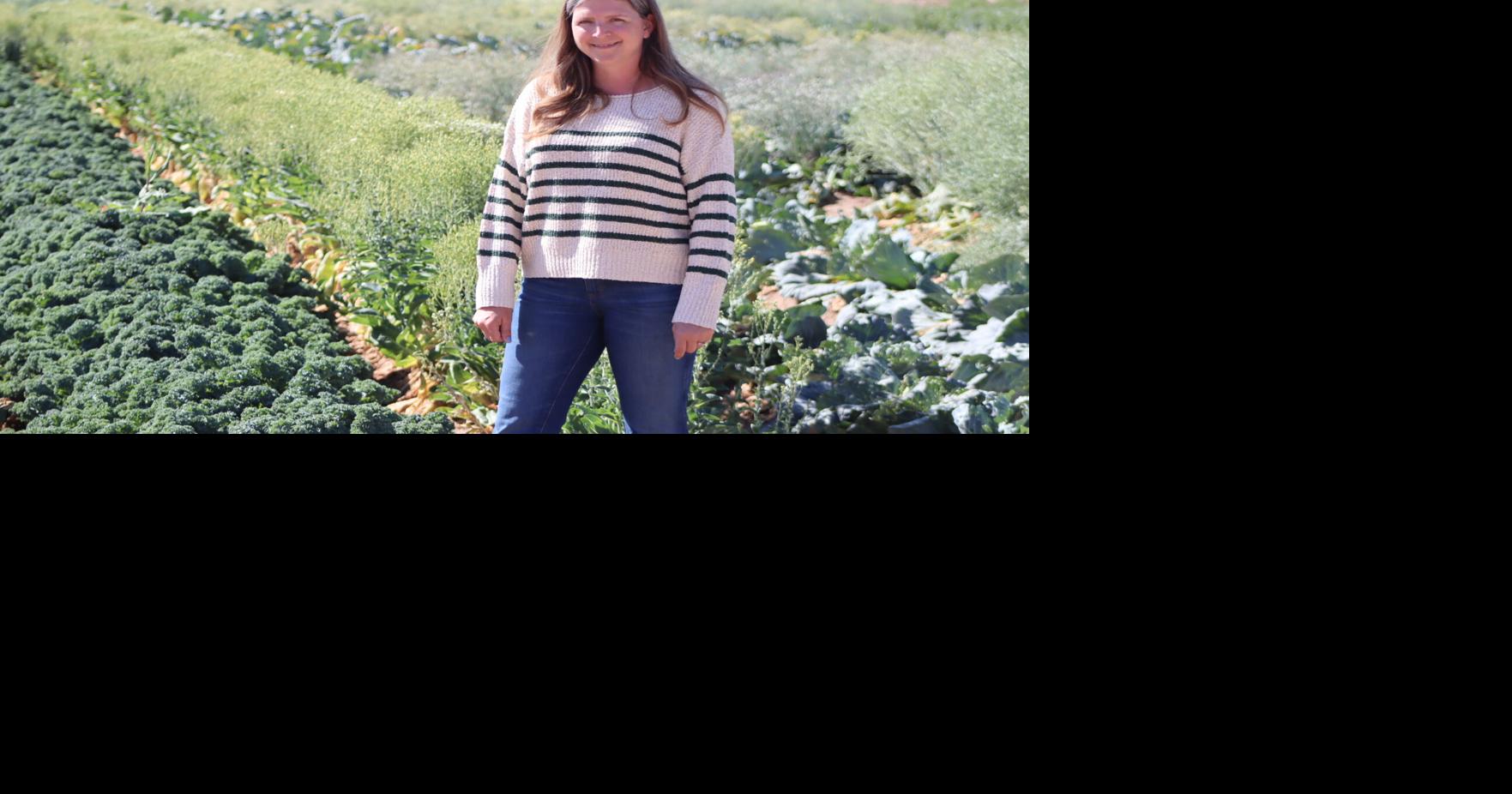 Perfecting the seed: Sakata’s role in Yuma agriculture